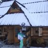 DSC08197.JPG