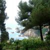 DSC06234.JPG