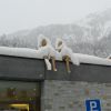 P1070025-1.JPG
