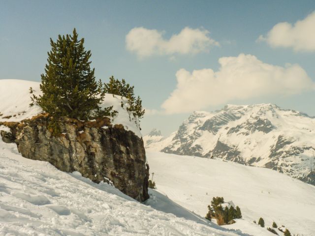 P1070209.jpg