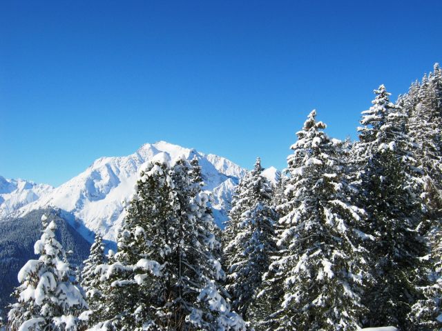 IMG_1508.JPG
