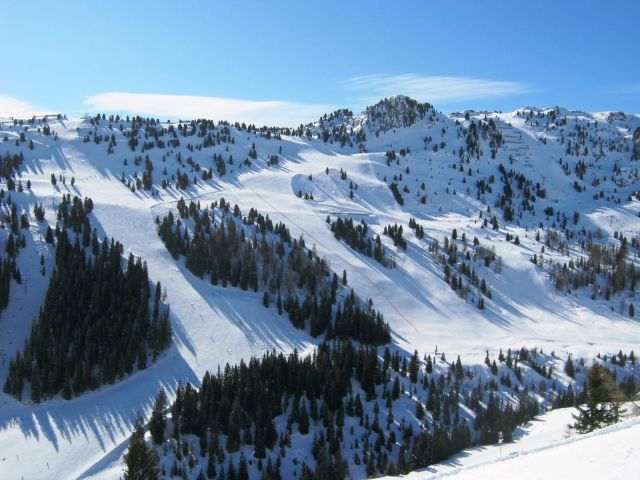 IMG_1200.JPG