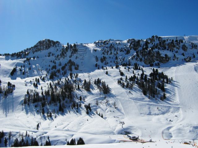 IMG_1273.JPG
