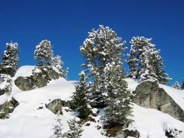 IMG_1512.JPG