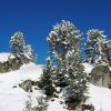 IMG_1512.JPG