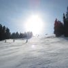 IMG_2079.JPG