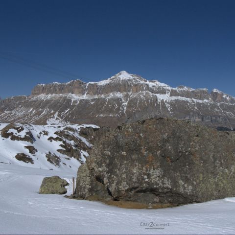 Селла