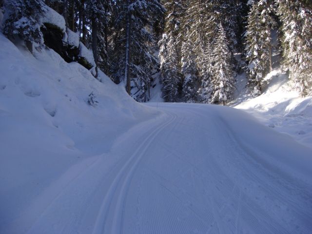 DSC04693.JPG
