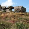 Ploumanach