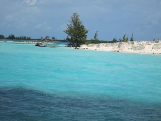 IMG_0663.JPG