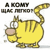 Фотография Sambuka