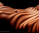 Фотография tigra_mokraya
