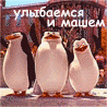 Фотография mateus