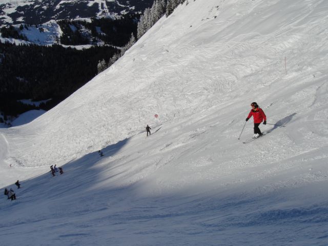 DSC03136