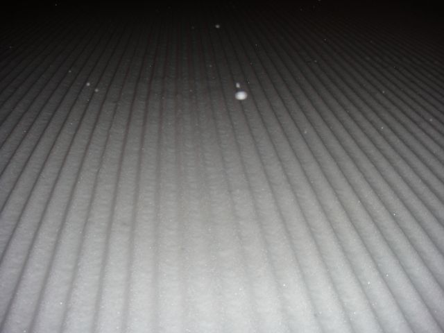 DSC03037