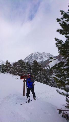 Ski touring