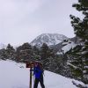 Ski touring