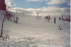 Чернево 7.03.2004