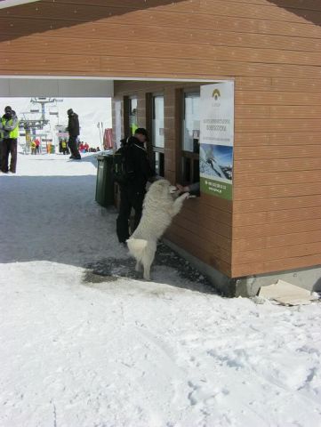 39 Очередь в кассу