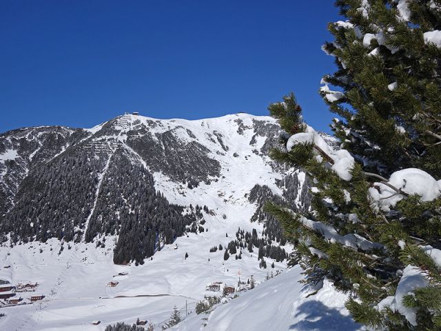 DSC00437
