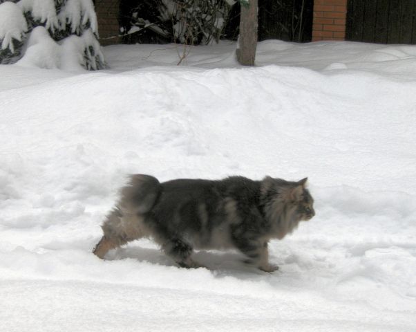 Январь 13