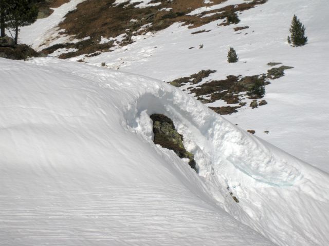 IMG 0110