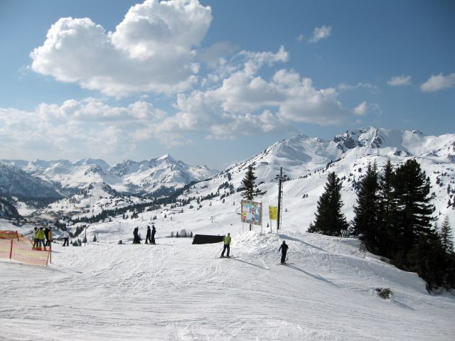 IMG 0103