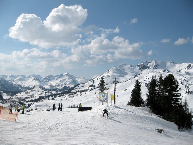 IMG 0105 IMG 0105