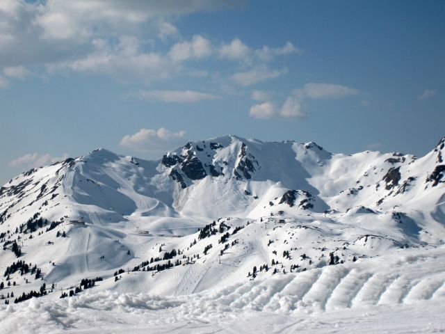 IMG 0107