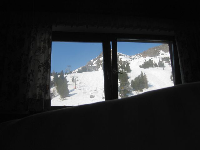 IMG 0113