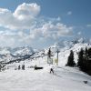 IMG 0105