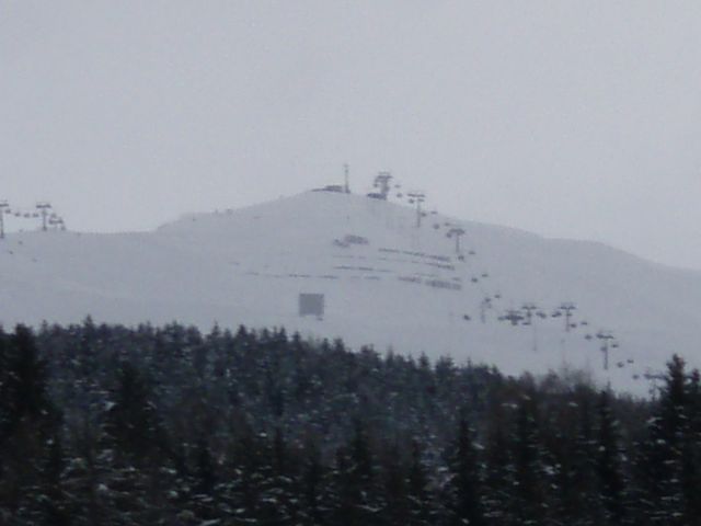 P2080066