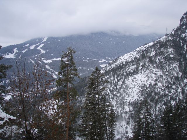 P2100291