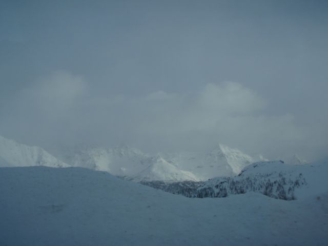P2110394