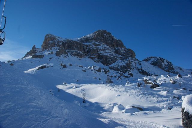 DSC01446