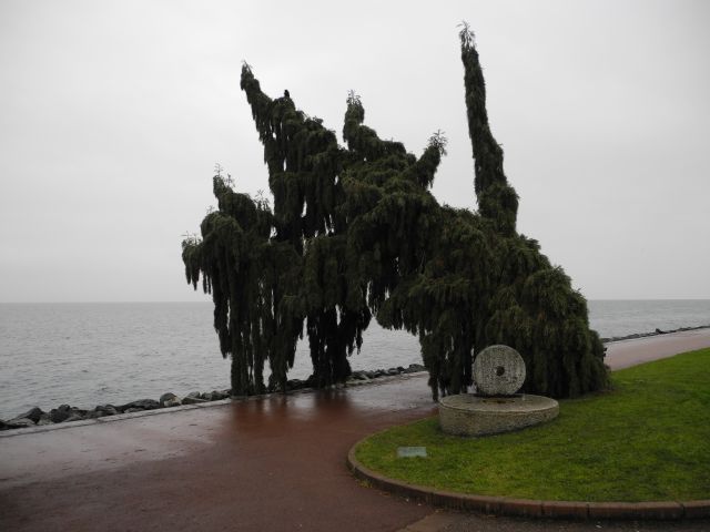 DSCN0269