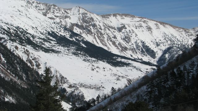 IMG 0269