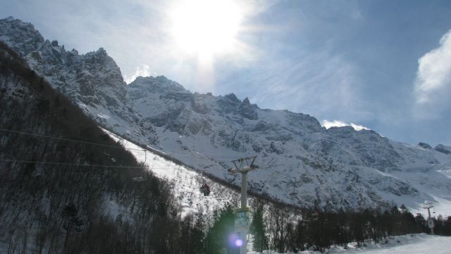 IMG 0284