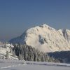 IMG 8893