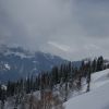 DSC 0088