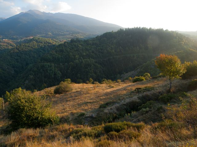 P9285288