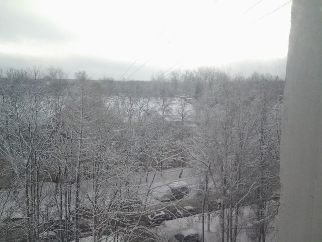 20130205 133517