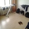 20130205 133354 20130205 133354