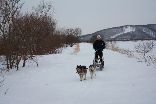 На собачках