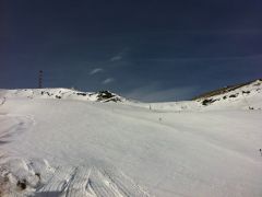 IMG 1520