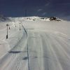IMG 1525