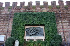 IMG 4240