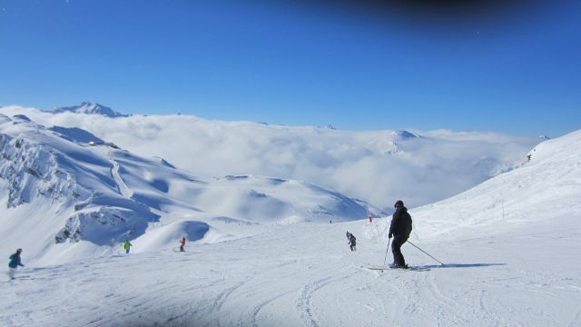 IMG 1688