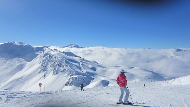 IMG 1686