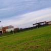 landkiting